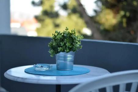 Neu Heidelberg - Guesthouse & - 37