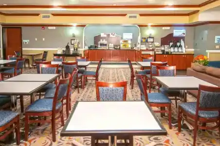 Holiday Inn Express & Suites Central - 20