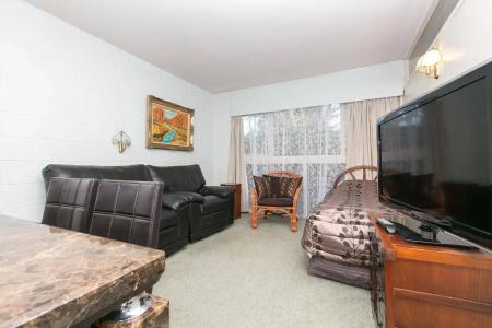 Ranfurly Evergreen - 3