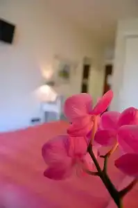 Family Relax - 50