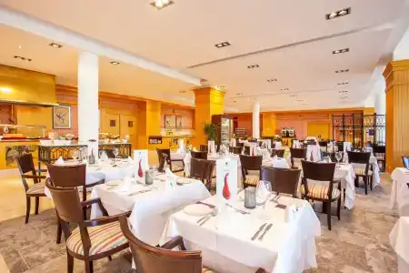 Grupotel Playa de Palma Suites & Spa - 26