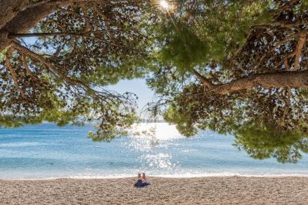 Bluesun Neptun - All inclusive - 15