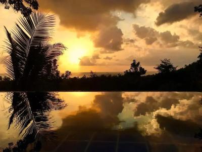 The Place Luxury Boutique Villas - Sha Extra Plus - 81
