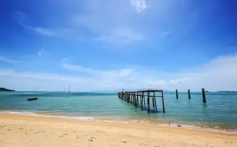 Samui Diving Resort - 12