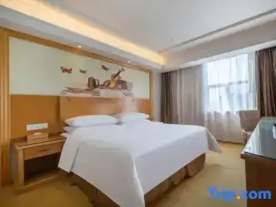 Vienna (Shenzhen Longgang Baifu City Store) - 29