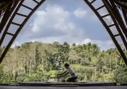 The Kayon Jungle Resort - 21