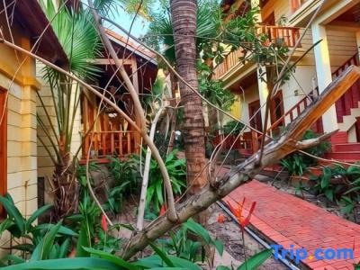 Free Beach Resort - 58