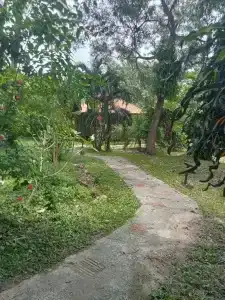 Ban Ban Bangalow - 6