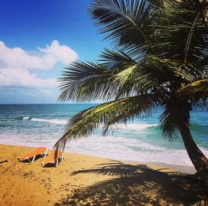 Cabarete Boutique Eco Lodge Beachfront - 16
