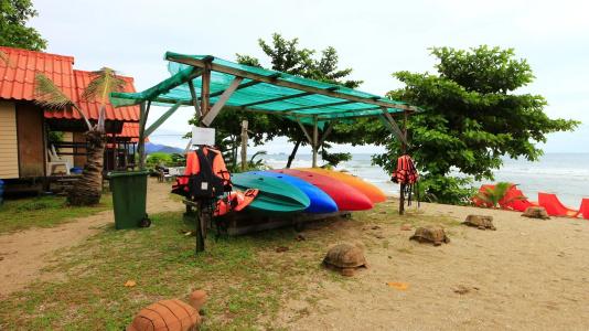 White Sand Beach Resort - 14