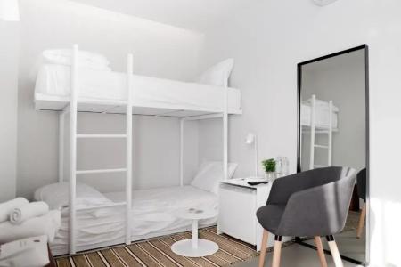 Chocolate box mint - 14