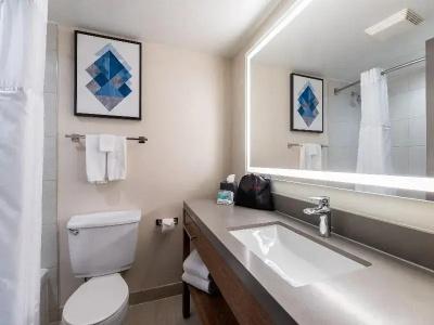 Holiday Inn & Suites, an IHG - 28