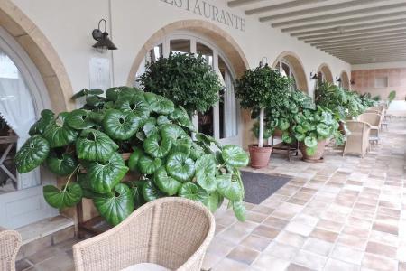 Los Ángeles Denia - 1