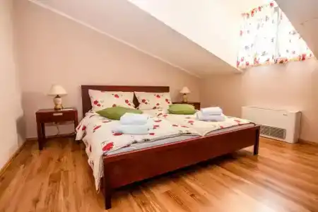 Eco Friendly Dália - 56