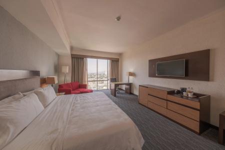 Holiday Inn Guadalajara Select, An Ihg - 6