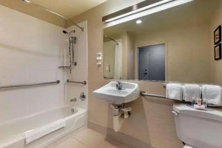 Comfort Inn & Suites North Dallas-Addison - 40
