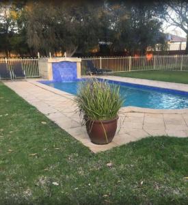 Wattle Grove - 18