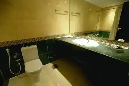 Triumph Plaza - 8