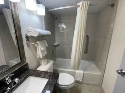 Quality Inn & Suites Downtown - 77