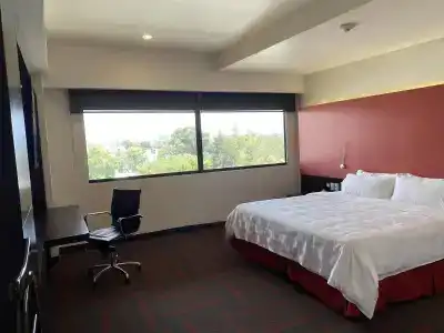Holiday Inn Mexico Dali Airport, An Ihg - 3