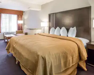Quality Inn & Suites - 6