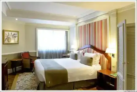 Grand Mercure Sao Paulo Ibirapuera - 103