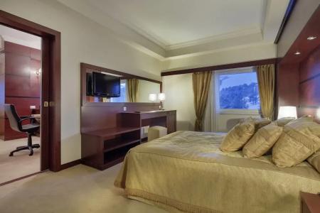Palan Ski & Convention Resort - 42