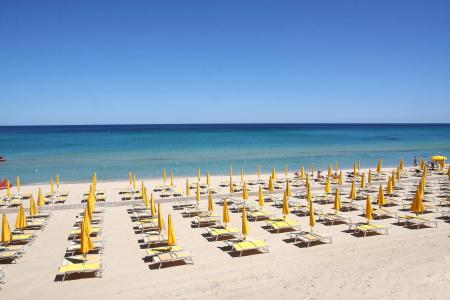 Free Beach Club - 26