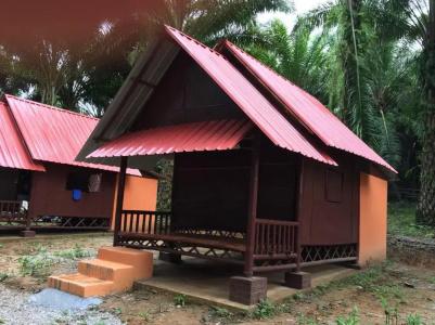 Khao Sok Evergreen House - 33