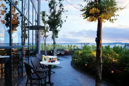 Four Points by Sheraton Nagoya, Chubu International Airport - 27