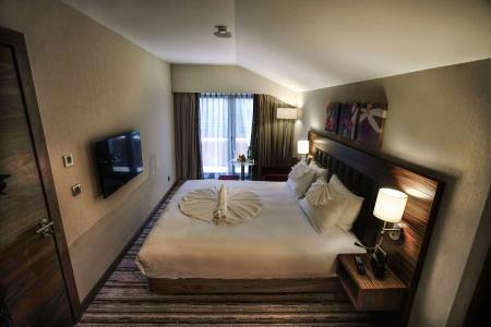 Hilton Garden Inn Eskisehir - 2