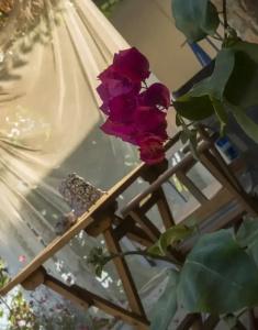 Valentina Boutique - 17
