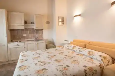 Rosa di Assisi - 105