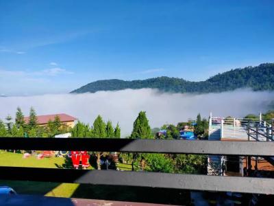 Khao Kho Tree Top - 50