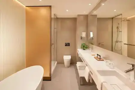 Park Plaza Vondelpark Amsterdam - 87