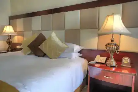Grand Excelsior - 85