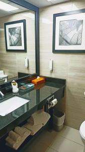 Best Western Plus Village Park Inn - 41