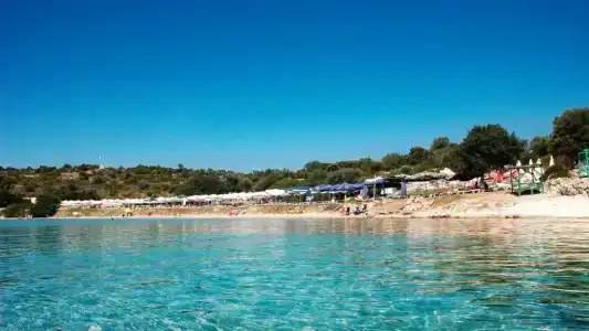 Dalyan Risus Suite - 8