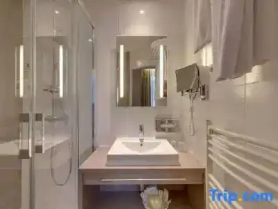 Best Western Hôtel d'Arc - 26