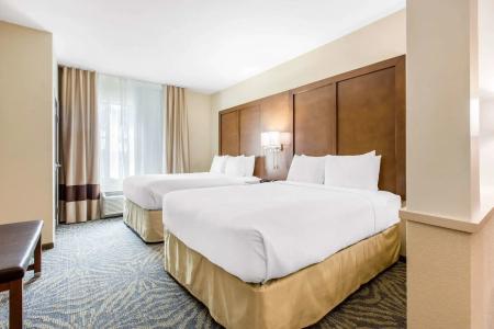 Comfort Suites - South Austin - 6