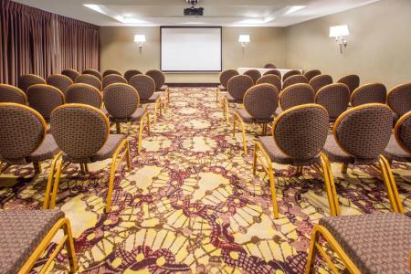 Crowne Plaza Houston Galleria Area, An Ihg - 13