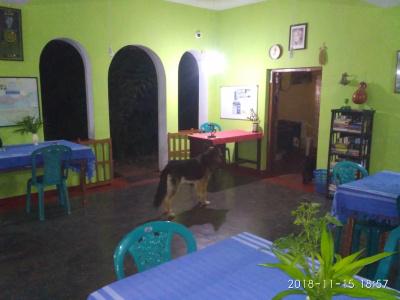 Ravana - Beach Cabanas - 5