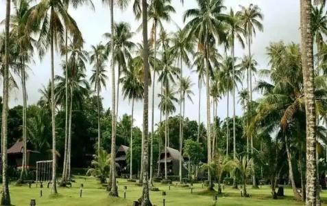 Koh Beach - 33