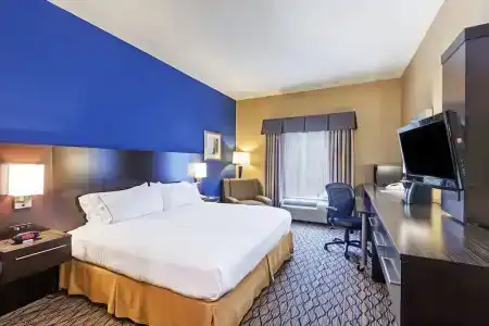 Holiday Inn Express & Suites Houston-Downtown Convention Center, An Ihg - 44