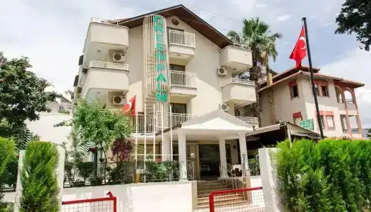 Green Palm - 18