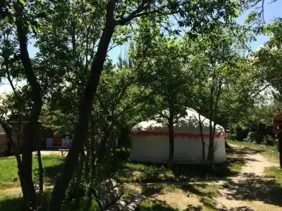 Туркестан - 26