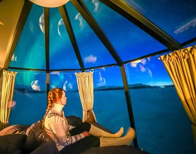Arctic Guesthouse & Igloos - 14