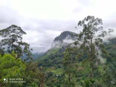 Ella View - 13