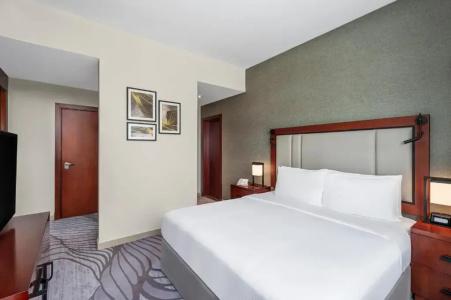 DoubleTree by Hilton Ras Al Khaimah - 81