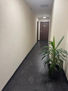 Capitol Zentrum - 24h - - 63